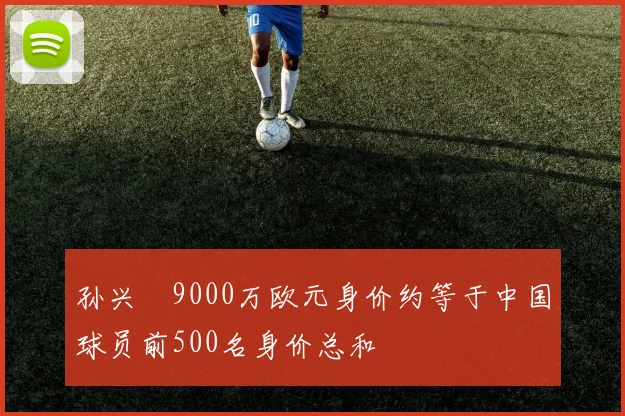 孙兴慜9000万欧元身价约等于中国球员前500名身价总和