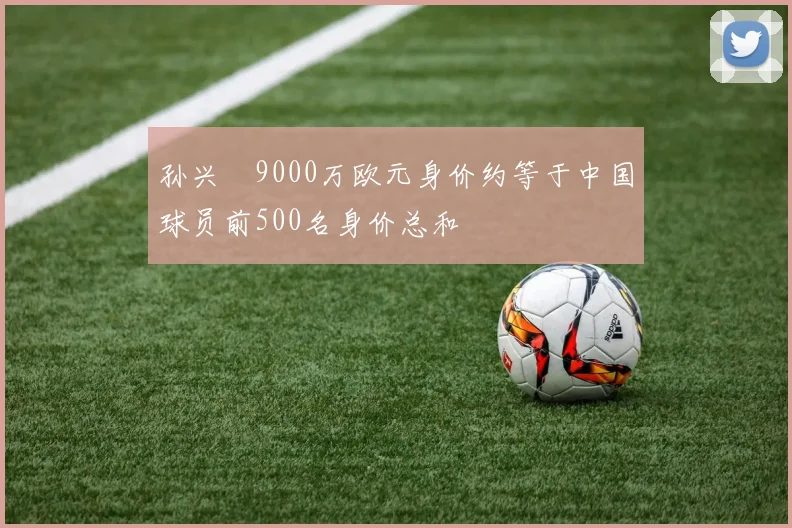 孙兴慜9000万欧元身价约等于中国球员前500名身价总和