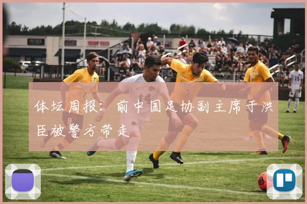 体坛周报：前中国足协副主席于洪臣被警方带走